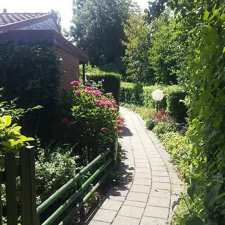Zonneweelde Dirkshorn